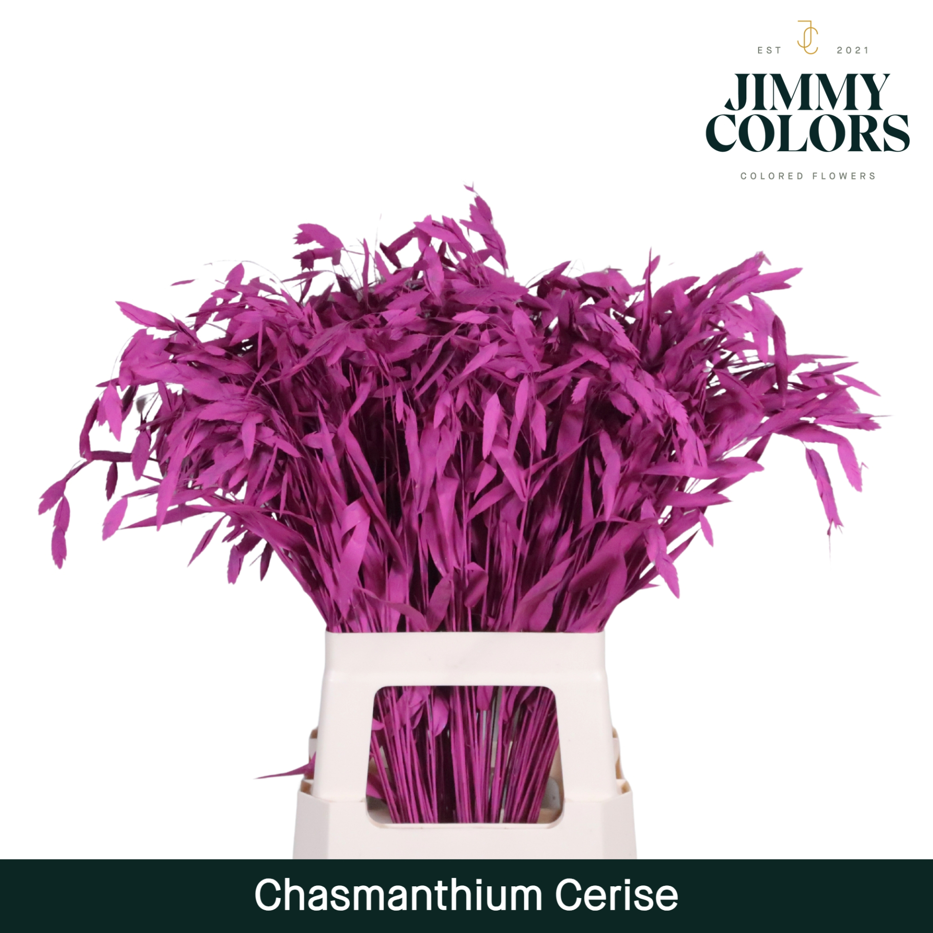 Chasmanthium L70 Cerise