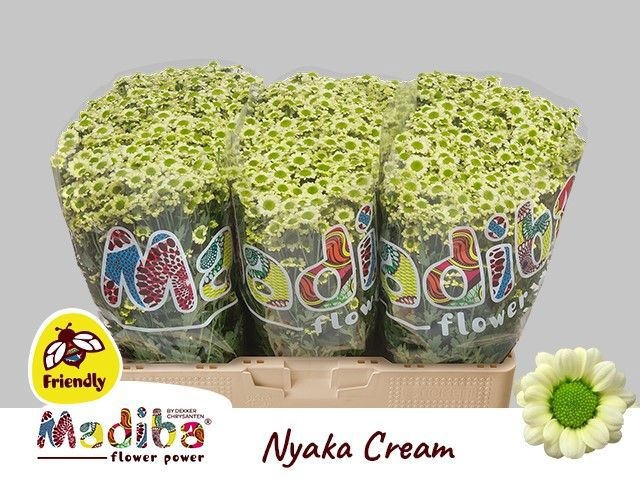 Chr San Mad Nyaka Cr