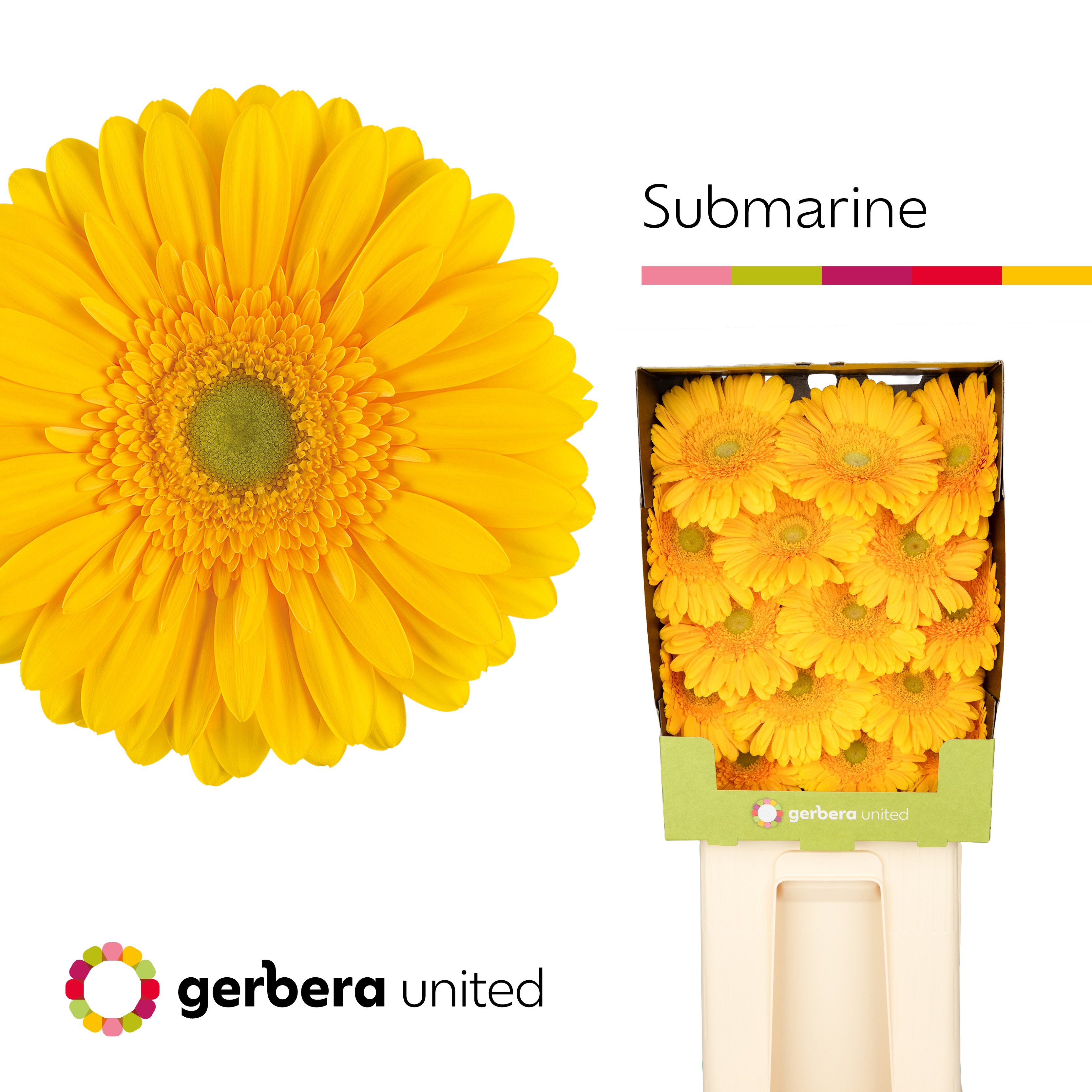 Ge Gr Submarine