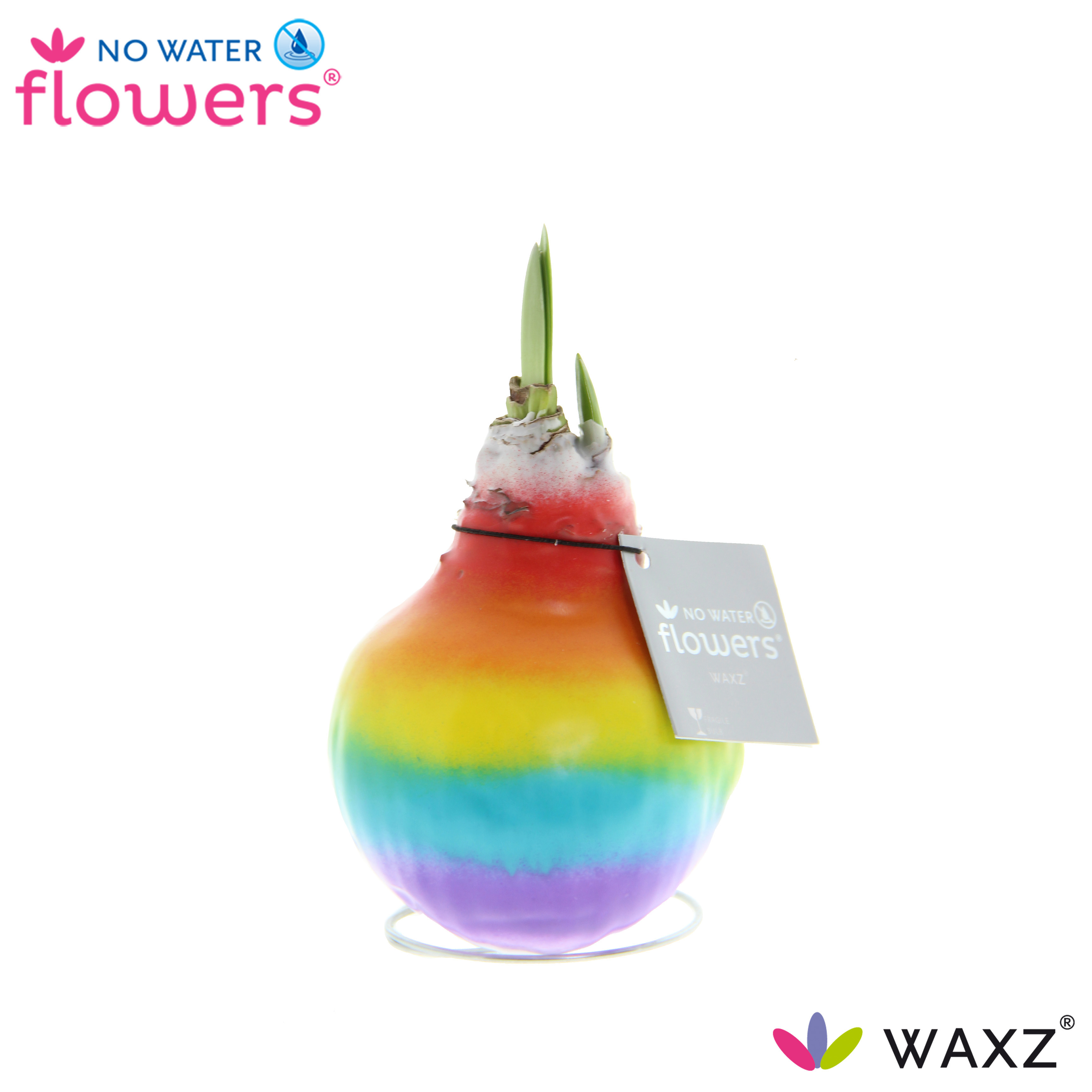 Picture of No Water Flowers Waxz® Rainbow 15CM