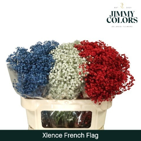 Gyps Xlence L80 French Flag