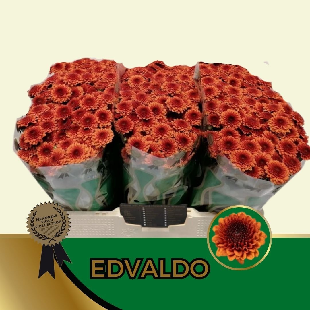 Chr San Aaa Edvaldo