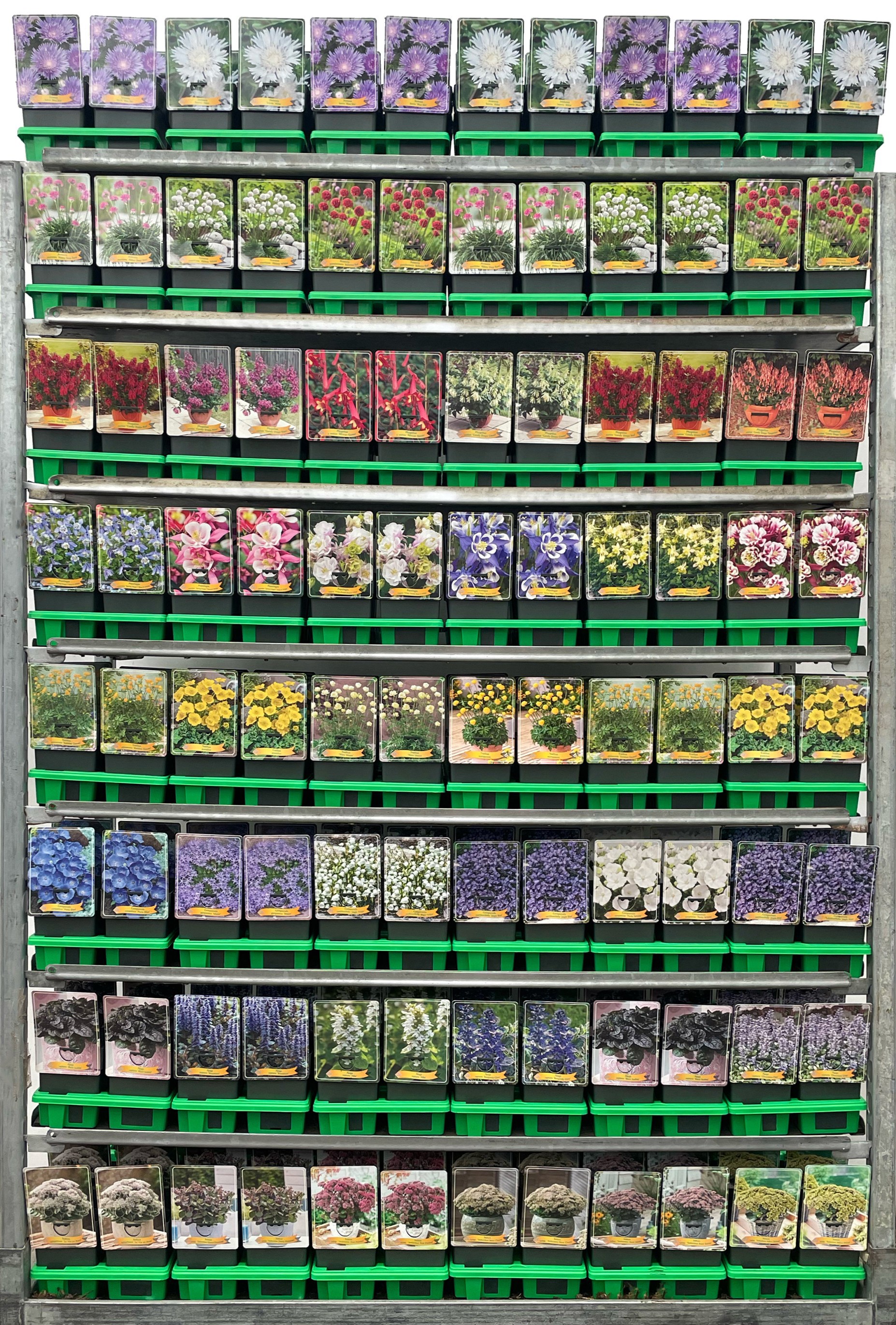 Picture of Vaste planten Mix CC 5 P11