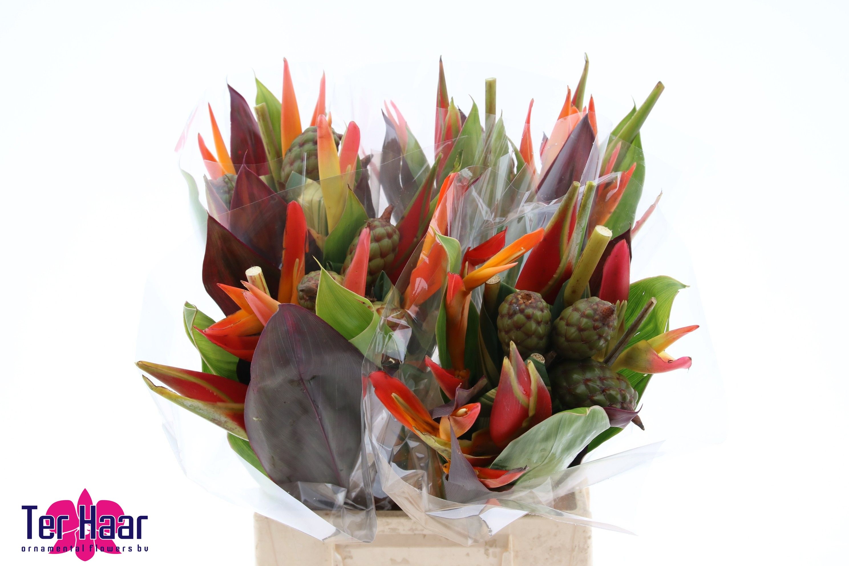 Heliconia Bouquet 45cm