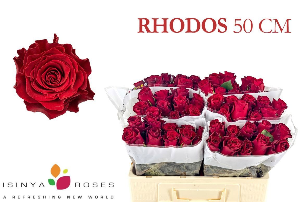 R Gr Rhodos
