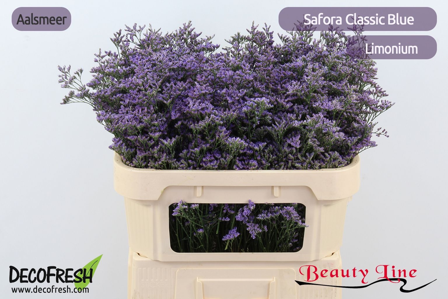 Lim Saf Classic Blue