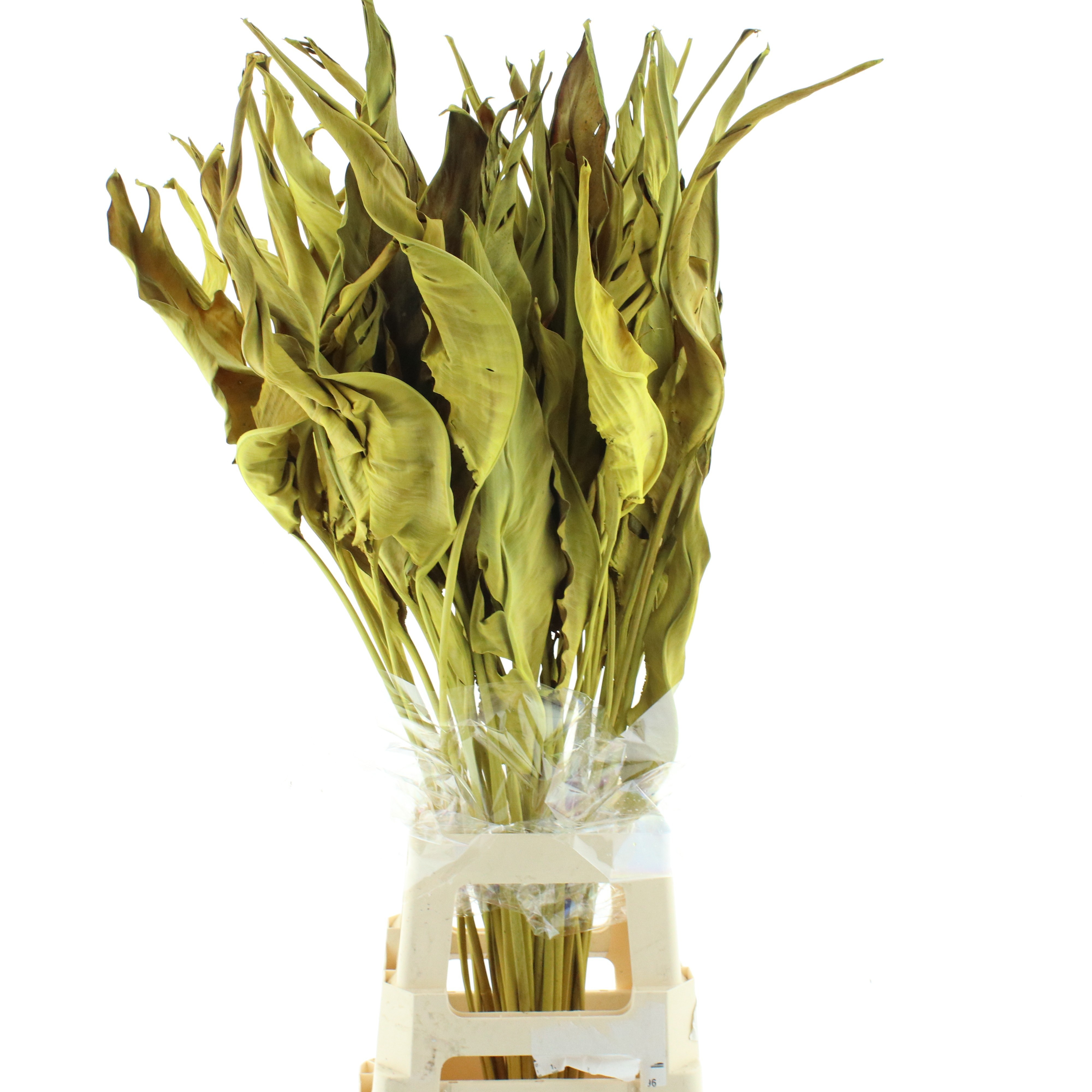 Dried Miscellaneous 90cm