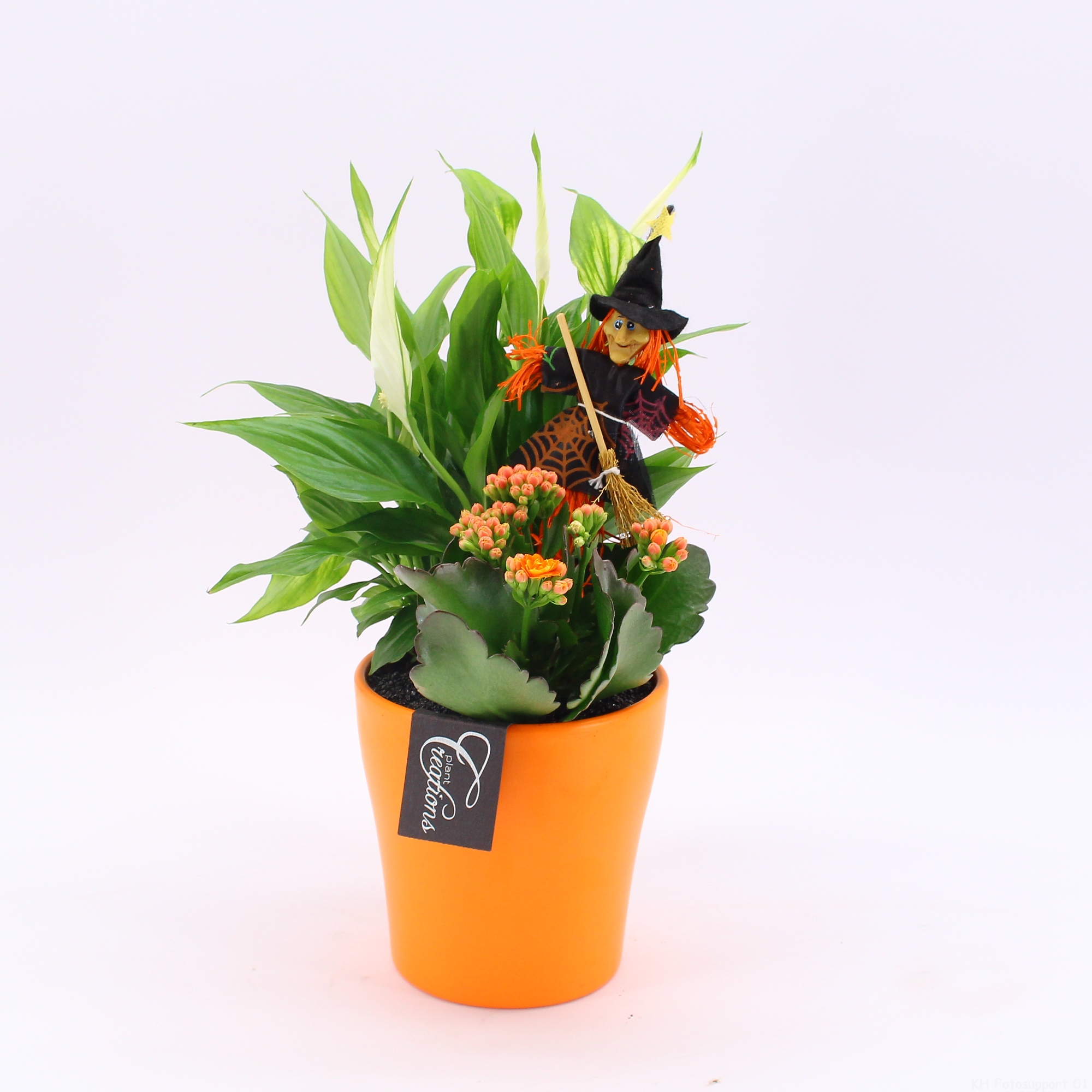 Picture of HWCR-2405 Halloween arrangement P14 35CM