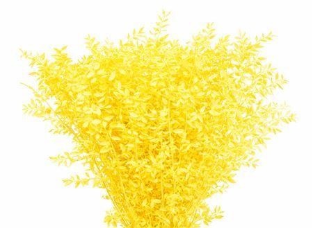 Dried/preserved Flowers Misc 70cm 18gram