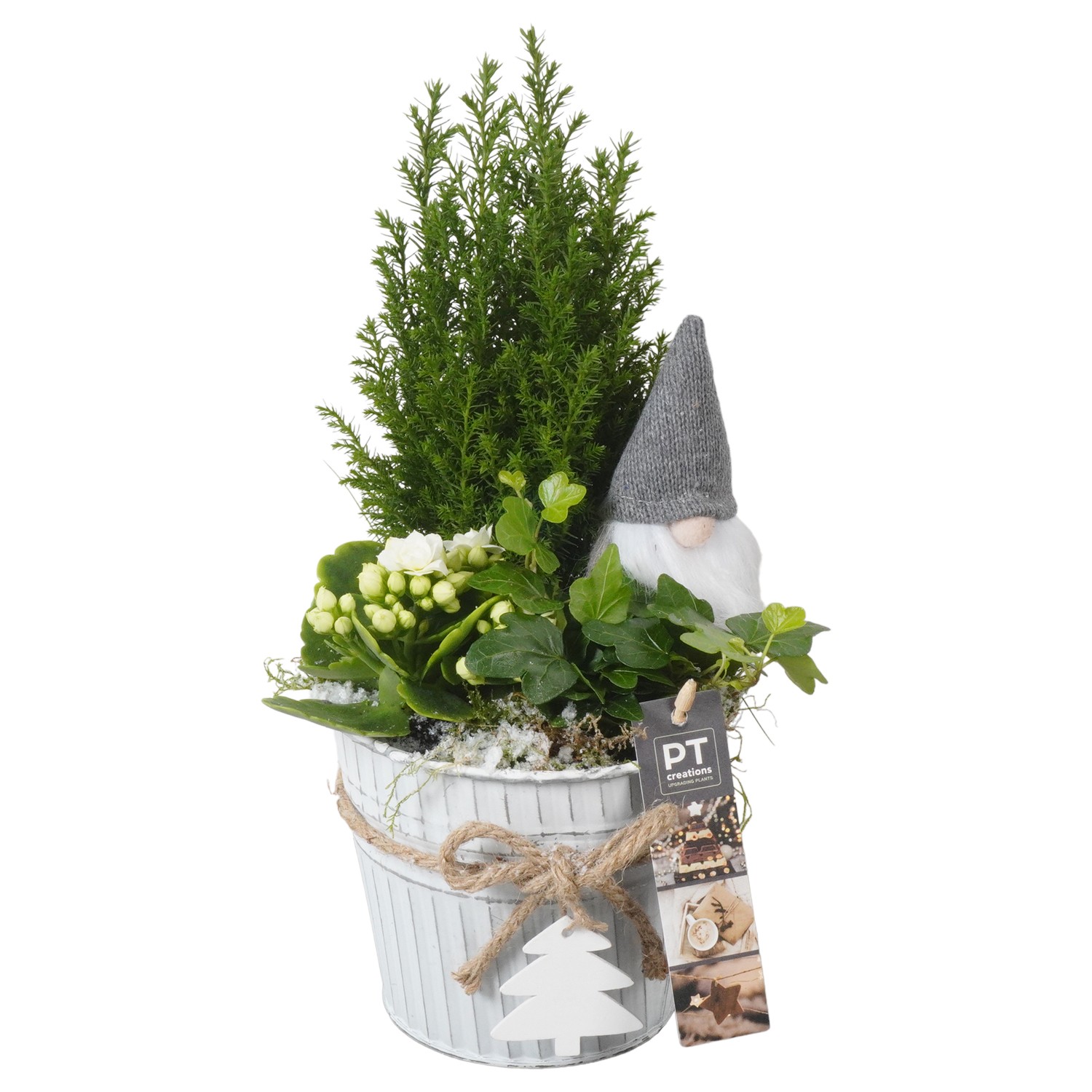 Picture of PTKB9435 Arrangement X-Mas in zinc pot P14 32cm