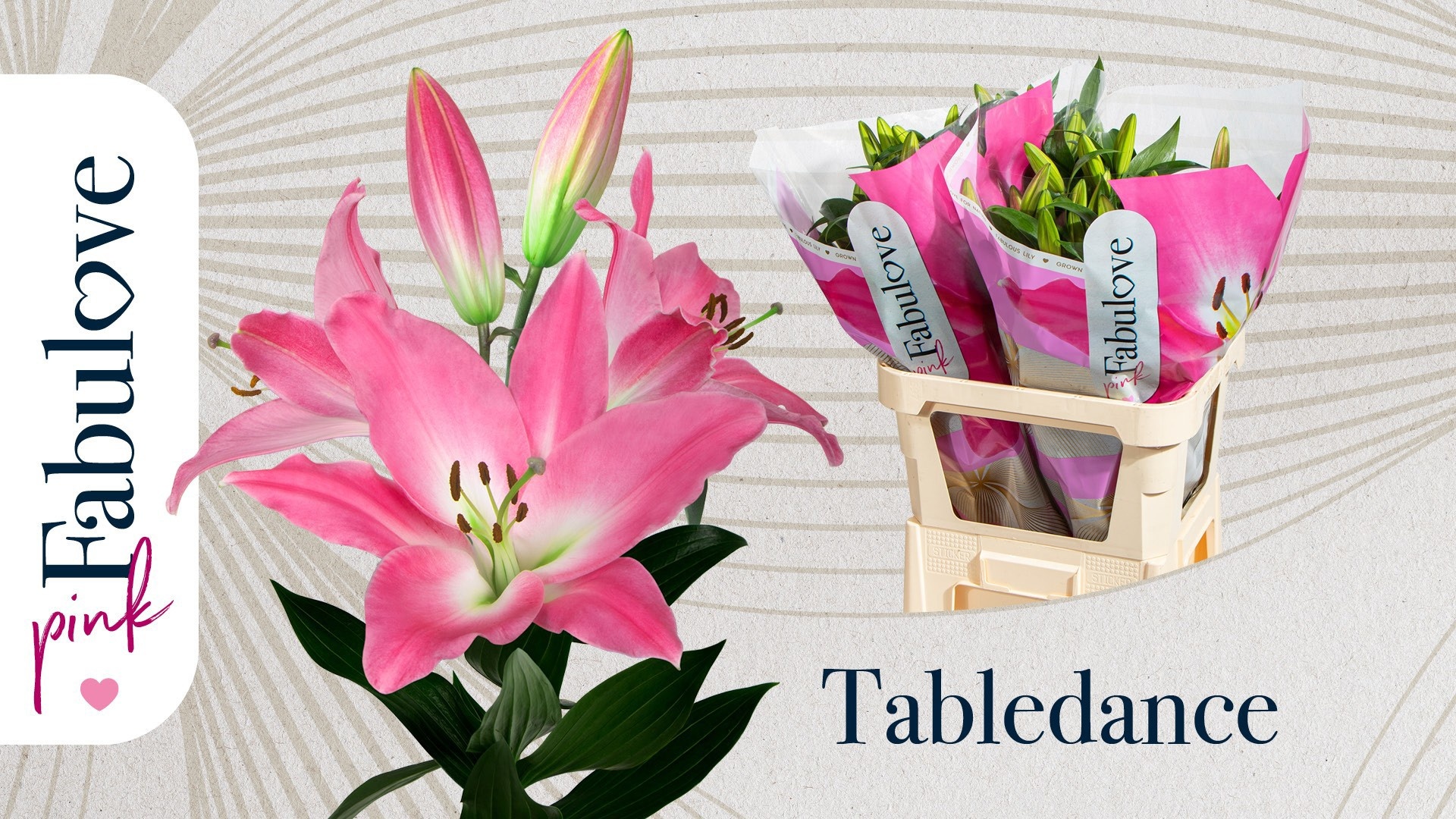 Li Ot Tabledance