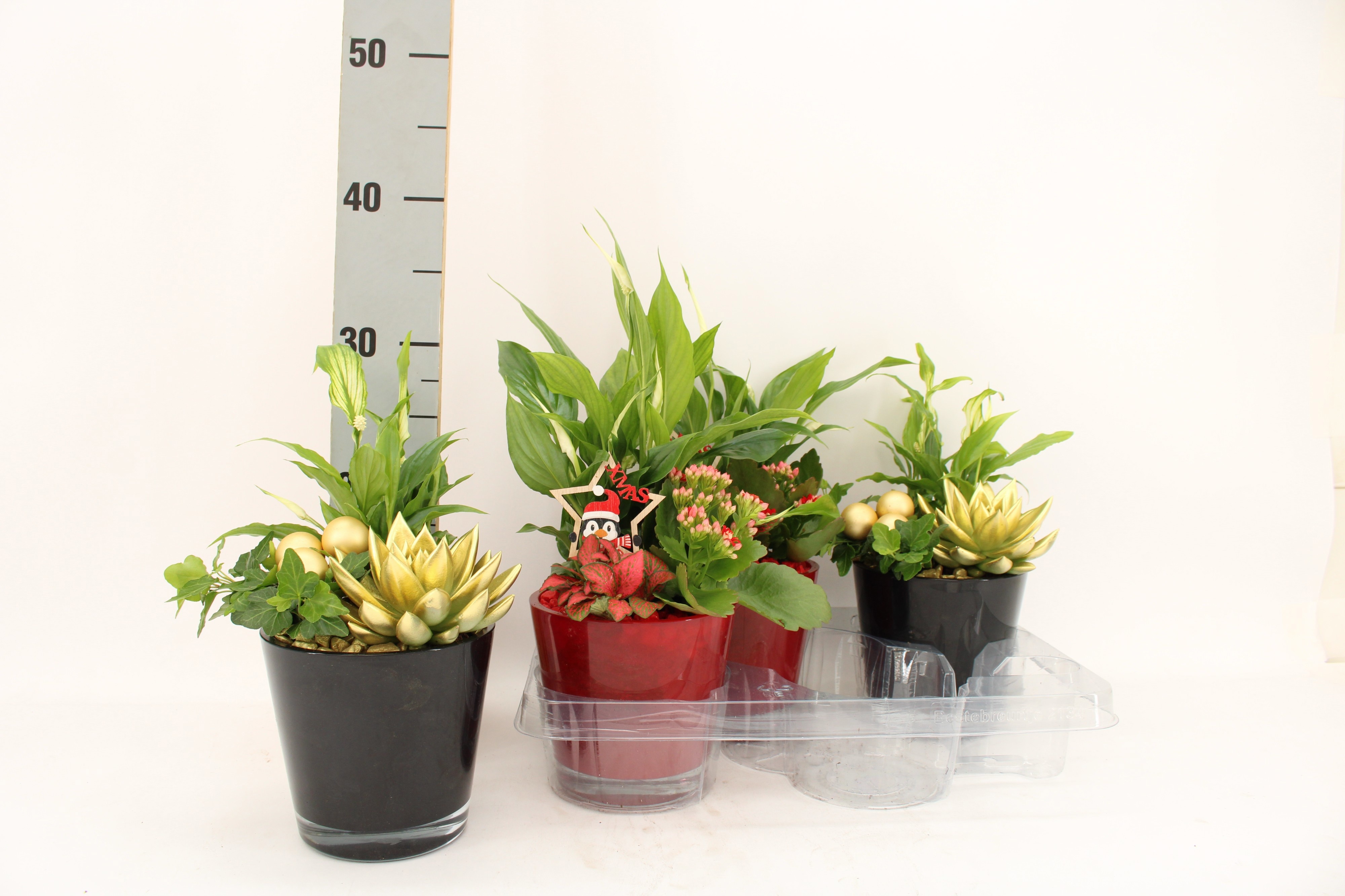Arrangement Indoor 22Ø