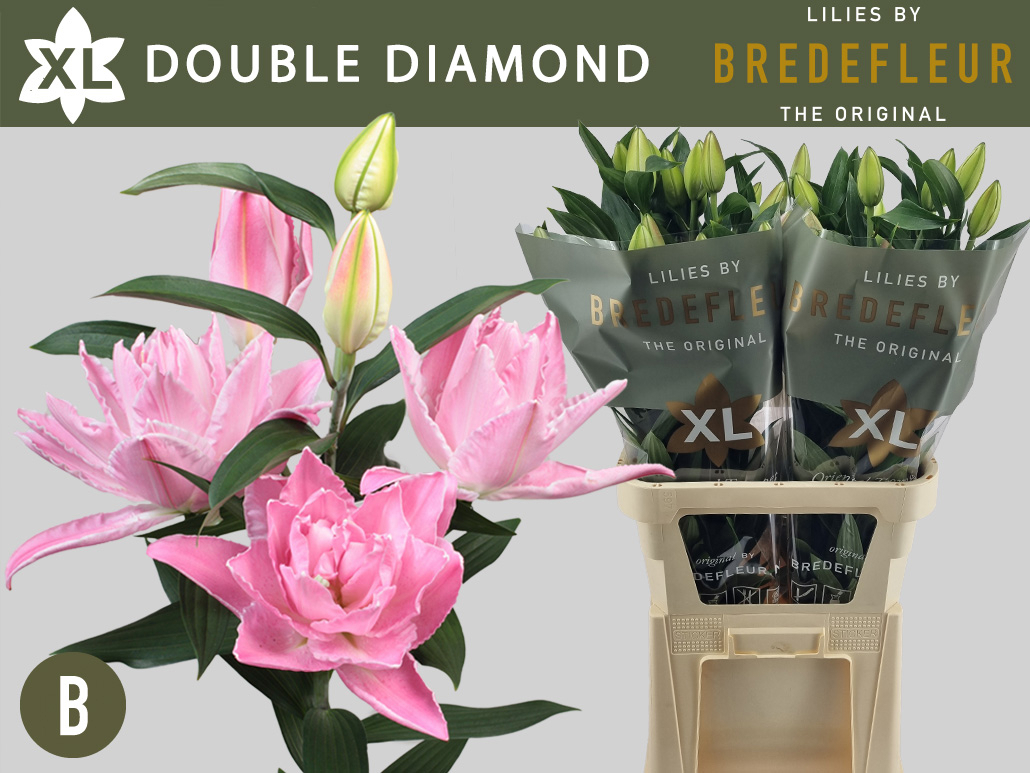 Li Or Du Dou Diamond