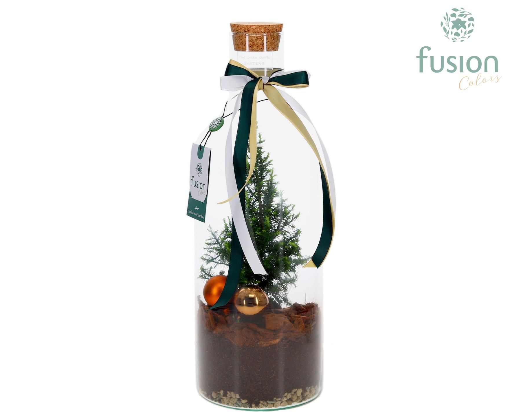 Afbeeldingen van X-Mas arrangement Green Bottle Medium FC-24.0907FDH P15 43CM