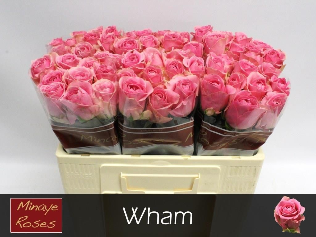 R Gr Wham
