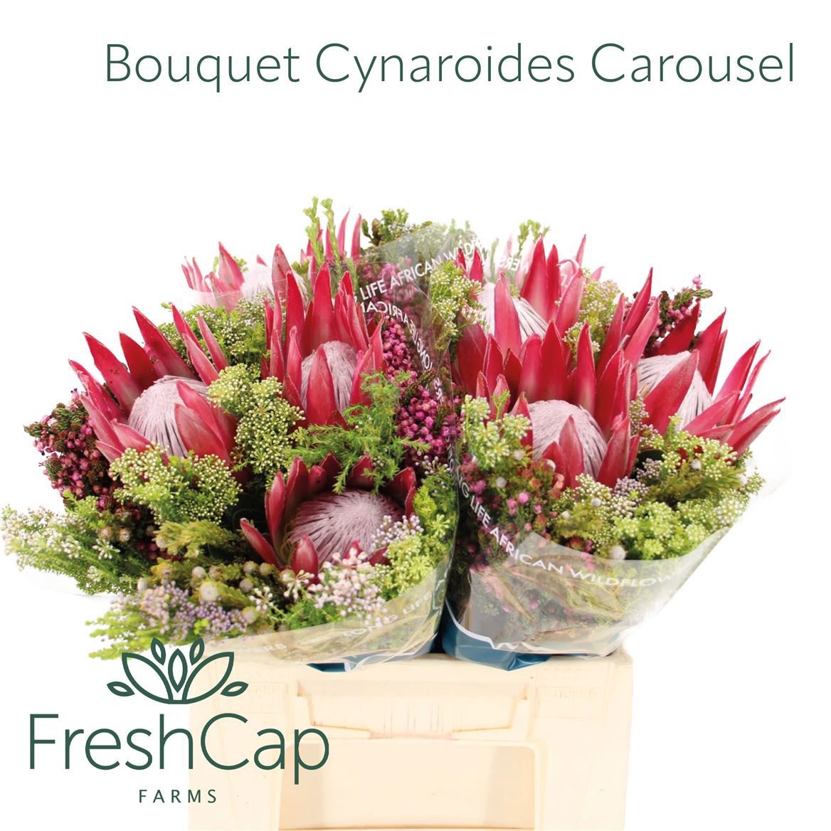 Cape Green Mixed In Bunch (BERZELIA) 40cm