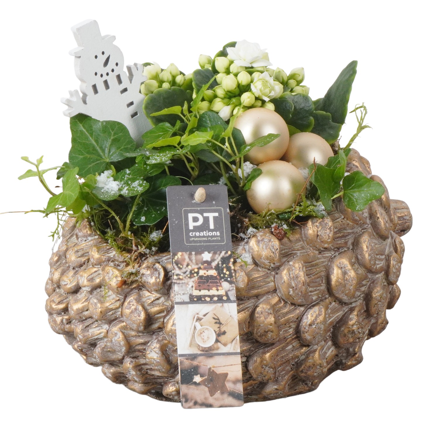 Picture of PTKB9406 Arrangement X-Mas in concrete pine cone P21 18cm