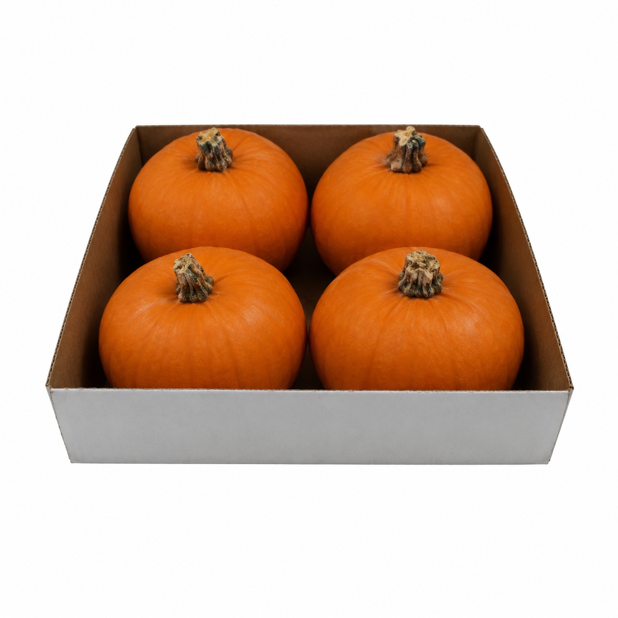 Ornamental Fruits Per Piece