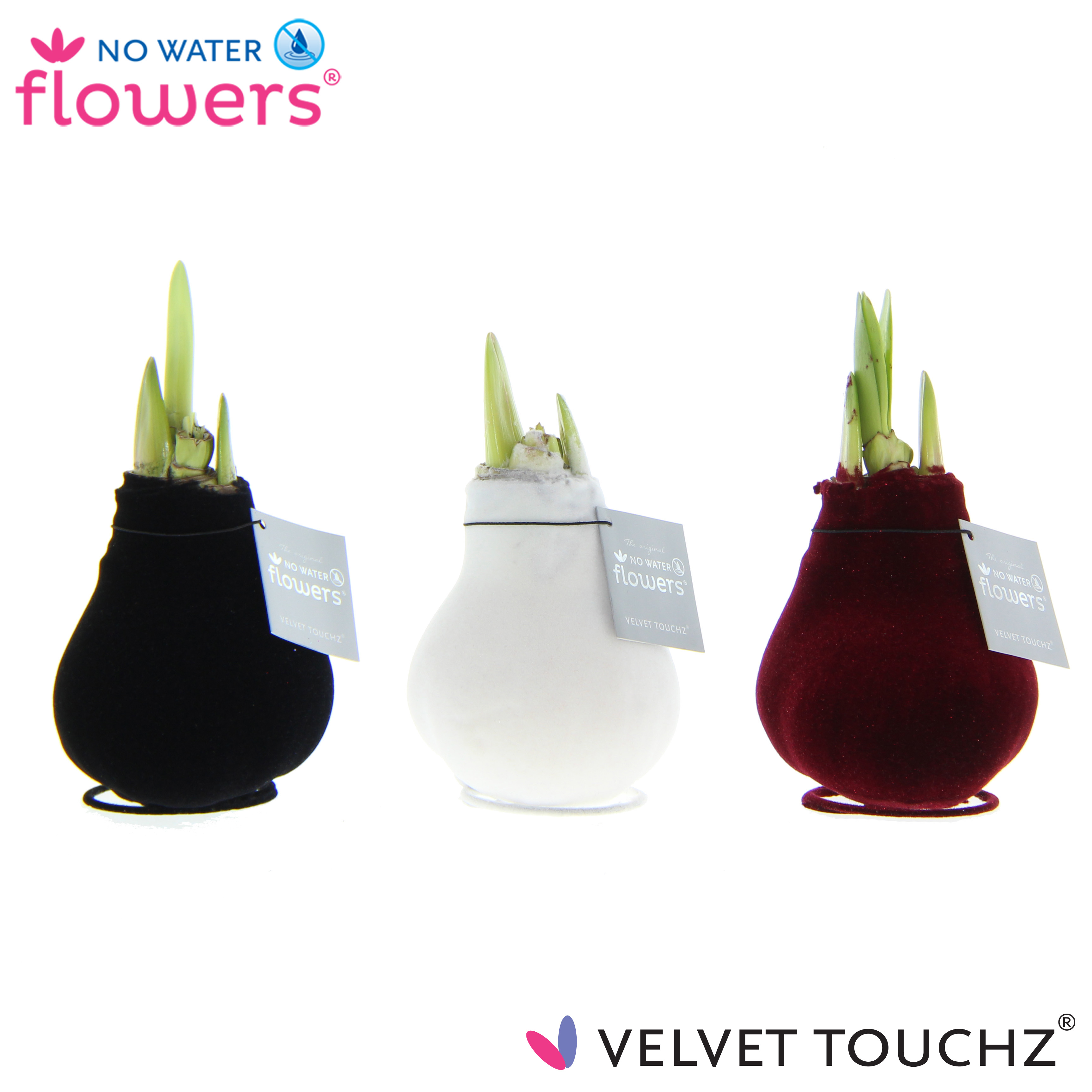 Picture of No Water Flowers Velvet Touchz® Classic mix 15CM