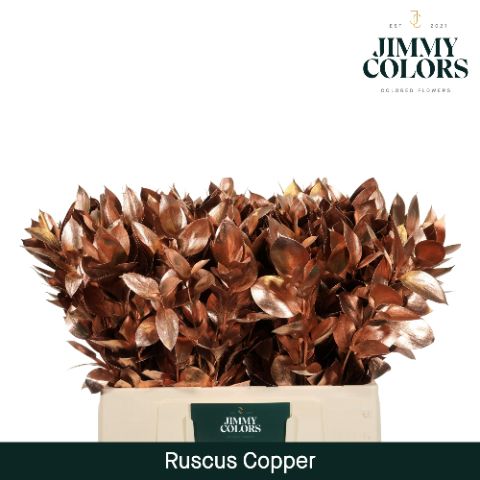 Ruscus L60 Mtlc. Copper