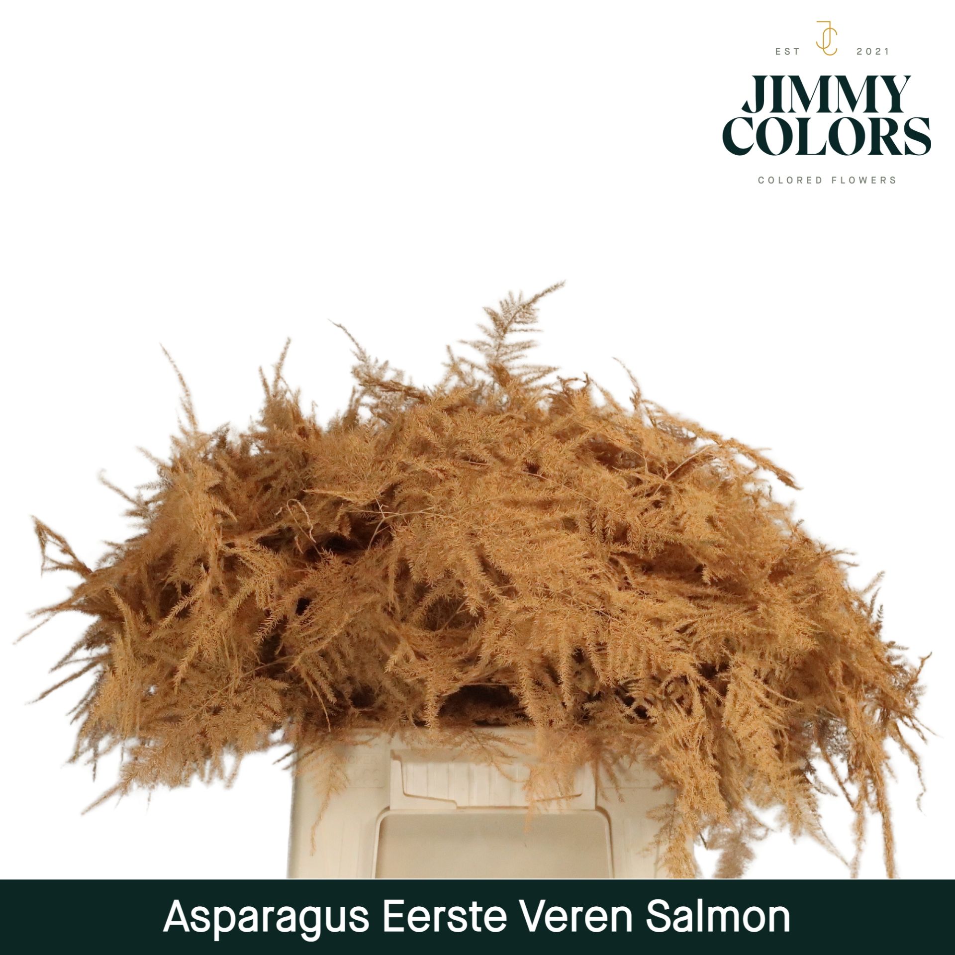 Aspa 1ste Veren Salmon