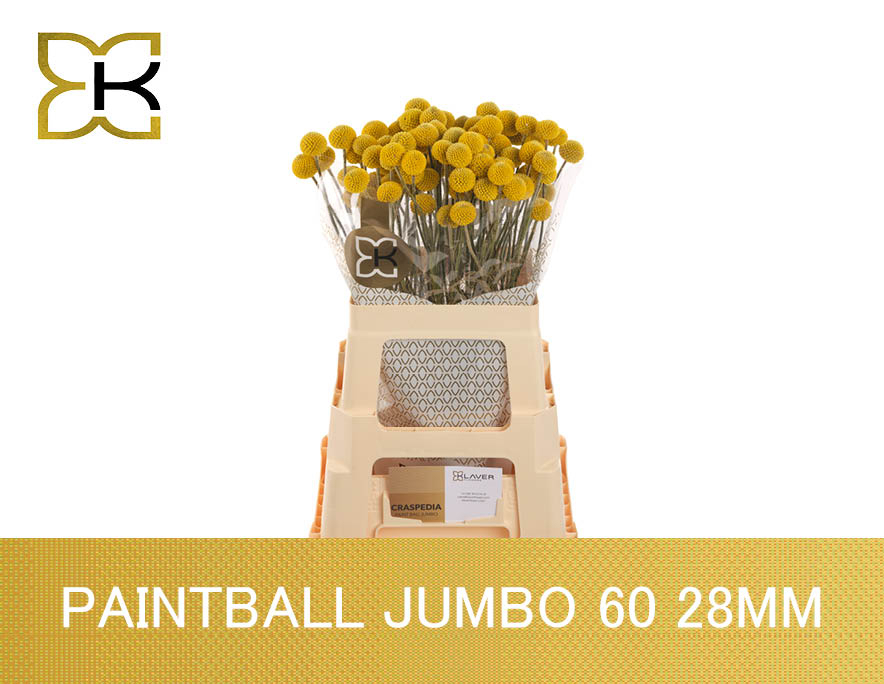 Cras Paintball Jumbo