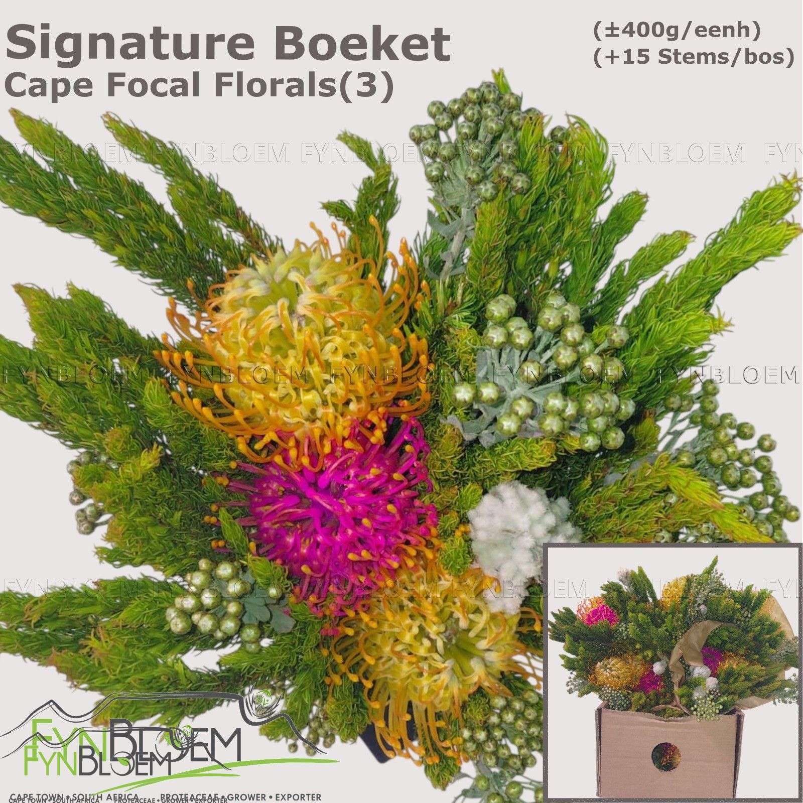 Protea Bouquet Per Bunch 40cm