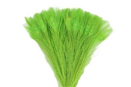 Peacock Feathers 45cm