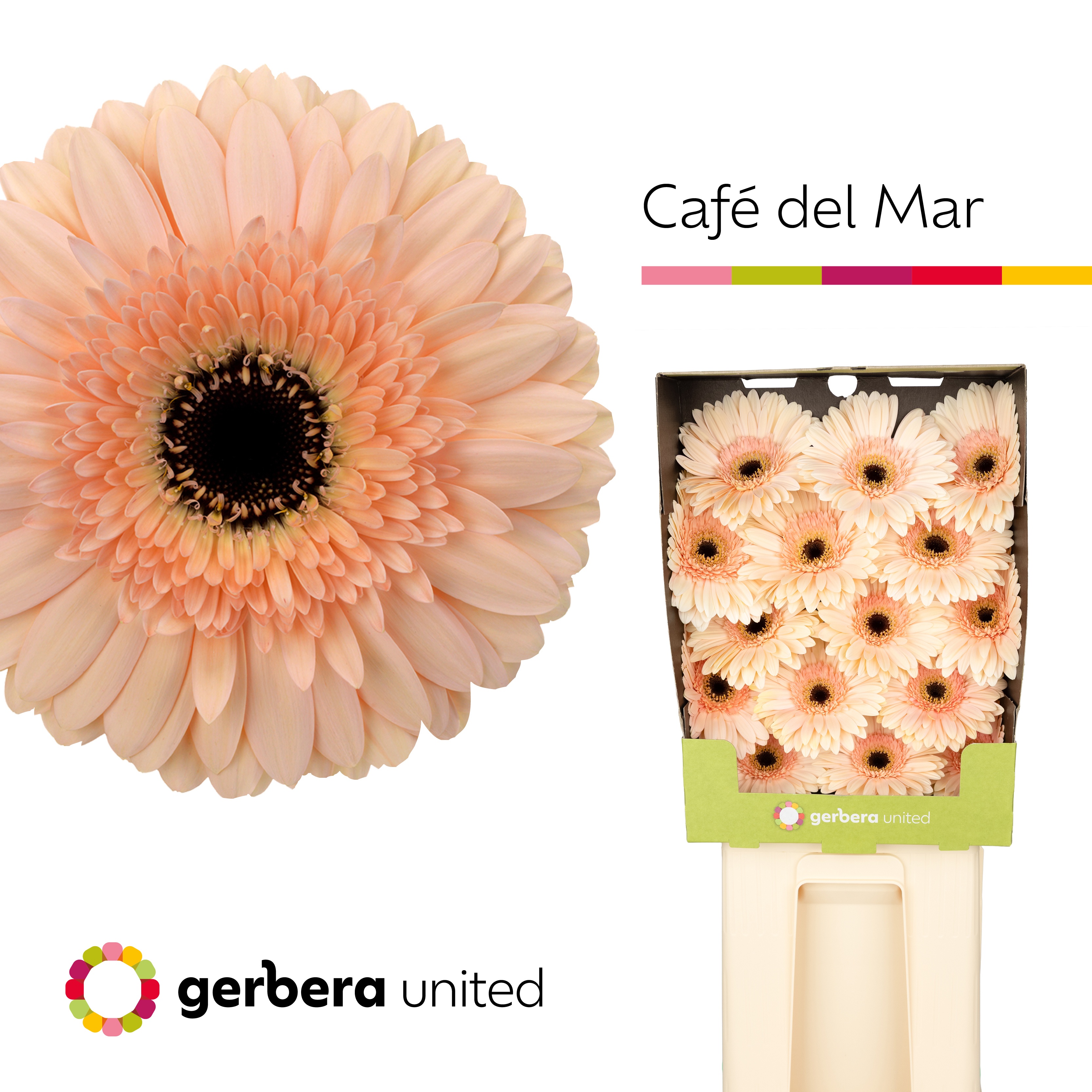 Ge Gr Cafe Del Mar