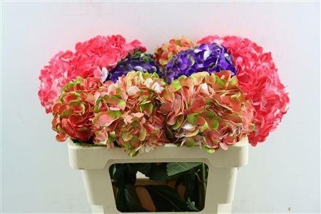 Hydrangea Painted 60cm 16Ø