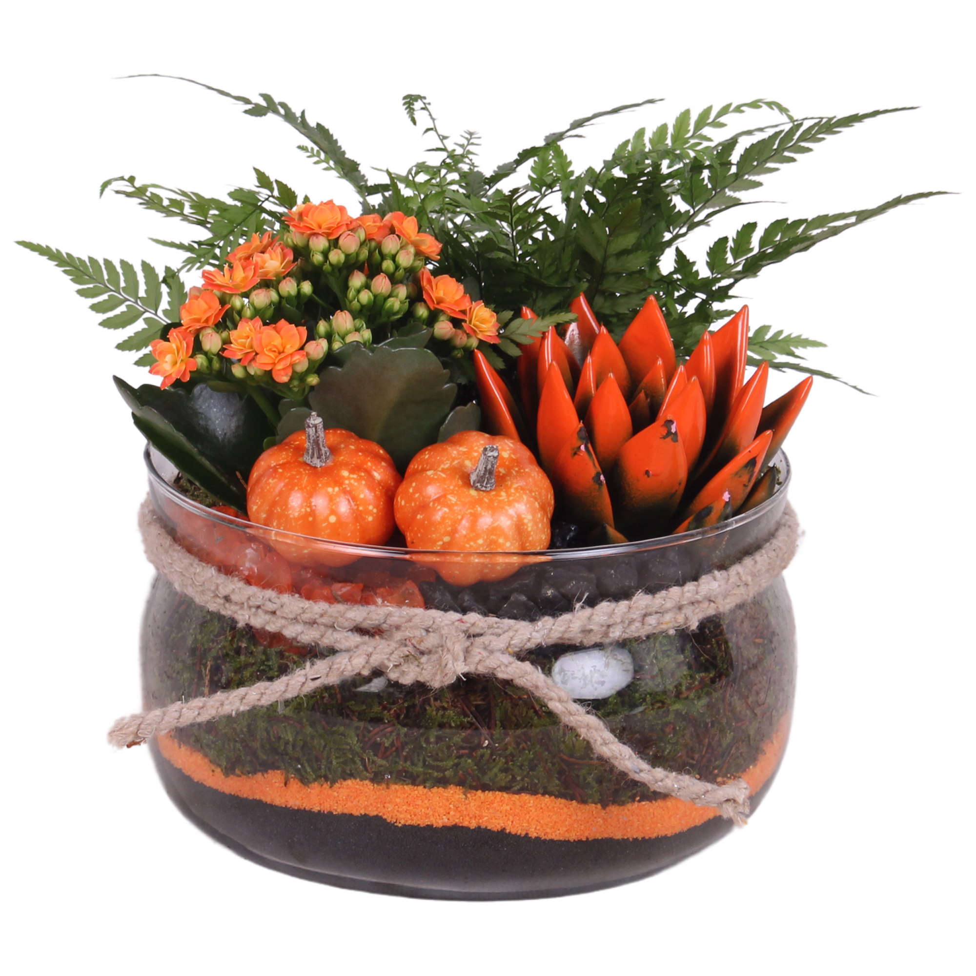 Picture of Halloween Arr. Indoor Glass Bowl Rope 3PP P20 25CM