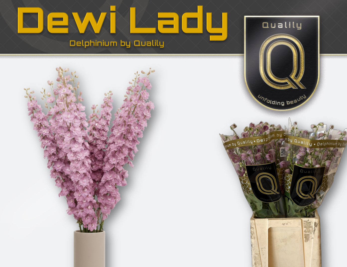 Delph El Dewi Lady
