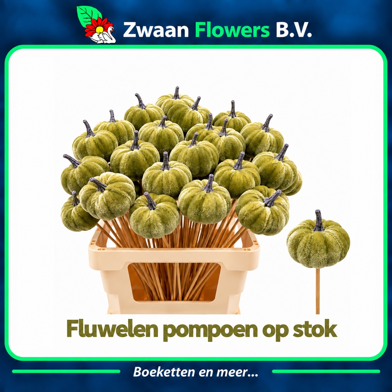 Huis En Tuindeco H%