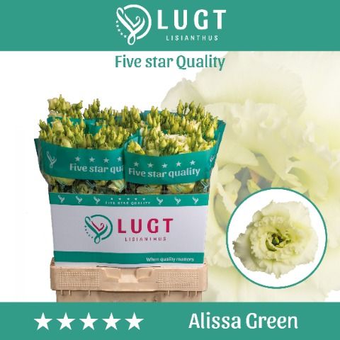 Eus G Alissa Green