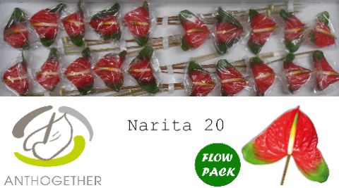 Anth A Narita