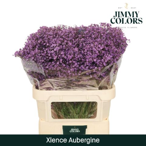 Gyps Xlence L80 Aubergine