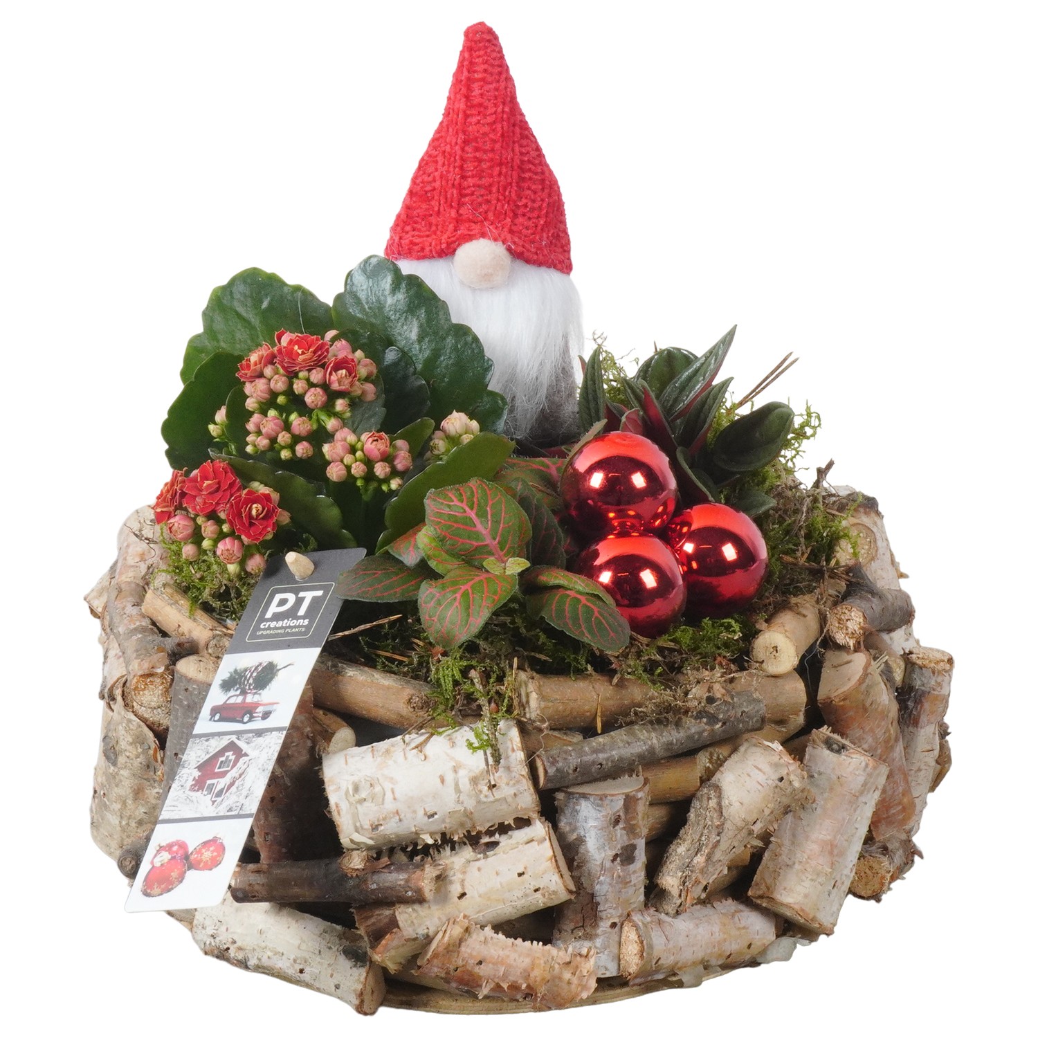 Picture of PTKB9303 Arrangement X-Mas in wooden bowl P23 22CM