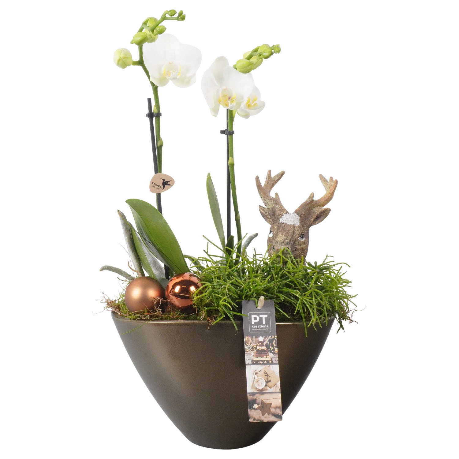 Picture of PTKB9355 Arrangement X-Mas in ceramic pot P21 42CM