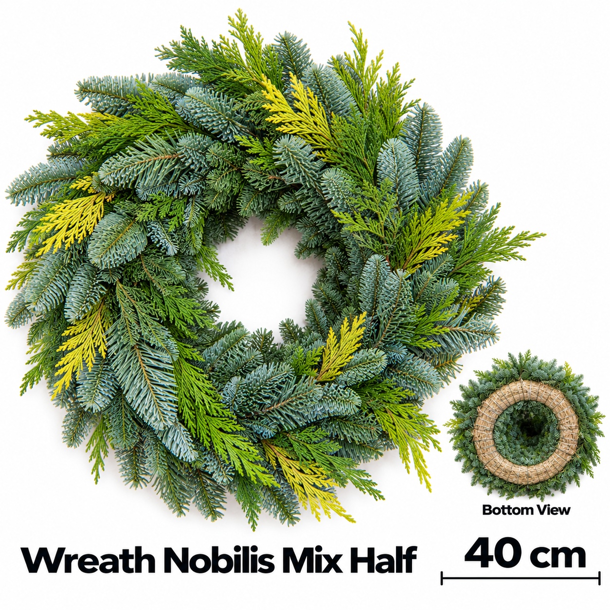 Abies Nobilis Blauw 40L.cm