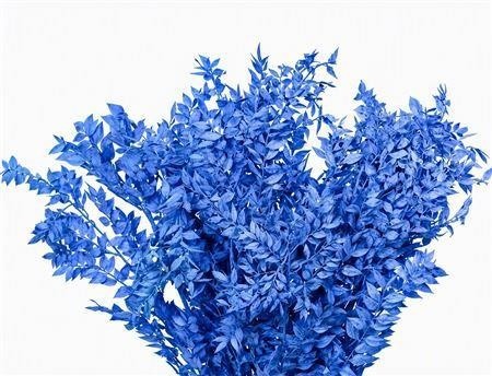 Dried/preserved Flowers Misc 70cm 18gram