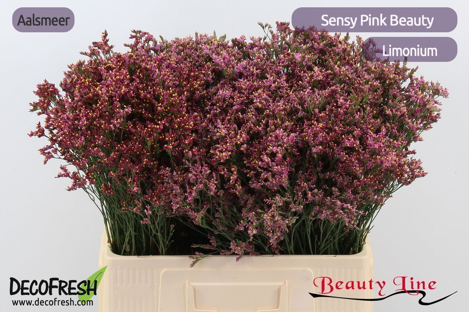 Lim Sin Sen Pin Beau 60cm 18gram