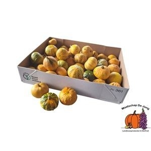Cucurbita Pepo Mixed