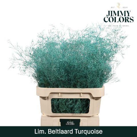 Lim Bel L90 Turquoise