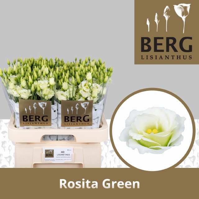 Eus G Rosi Green