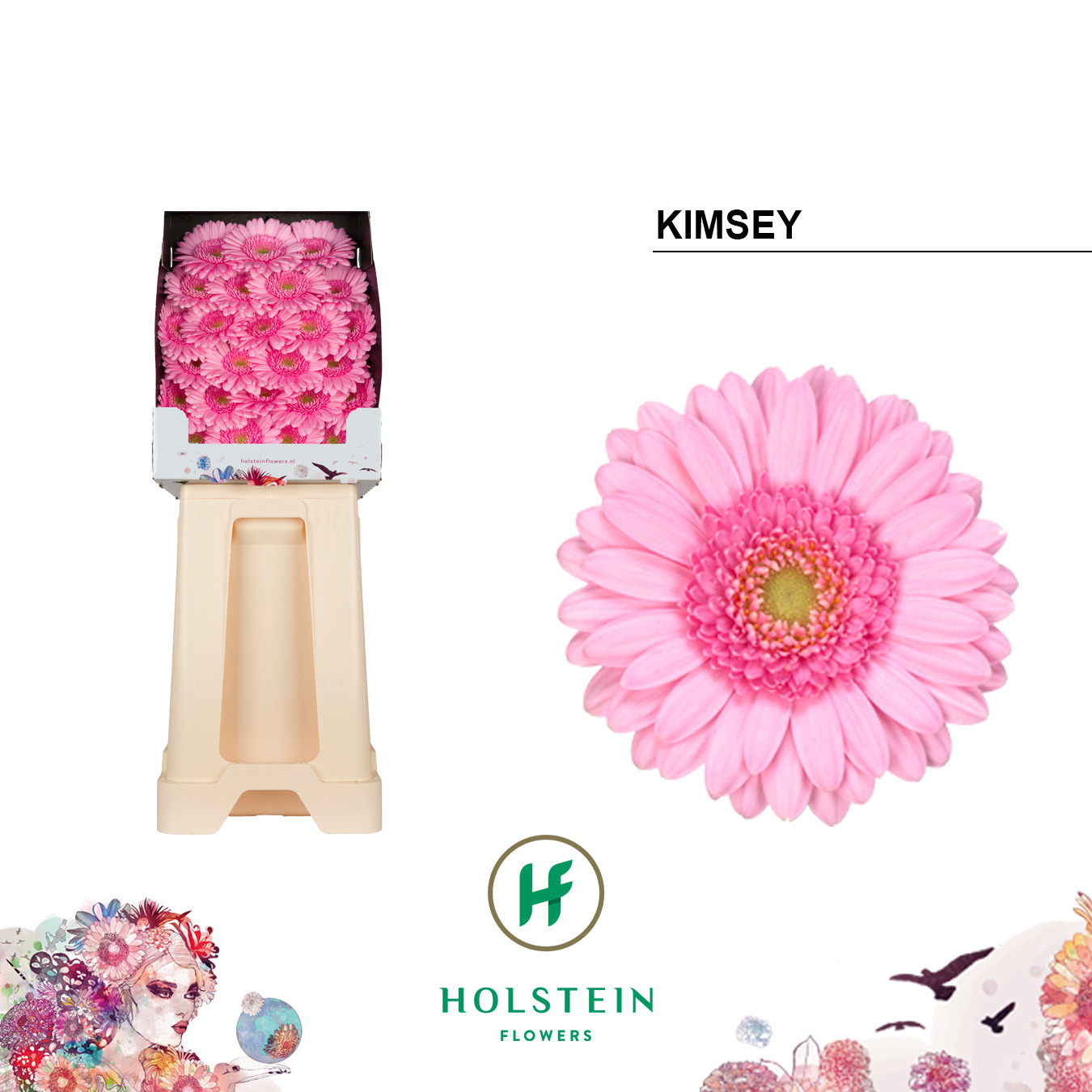 Ge Mi Kimsey