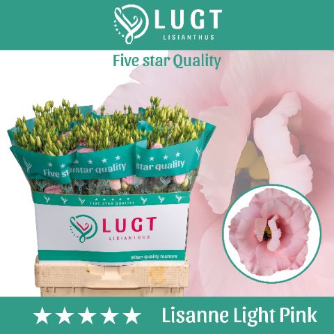 Eus G Lisanne L Pink