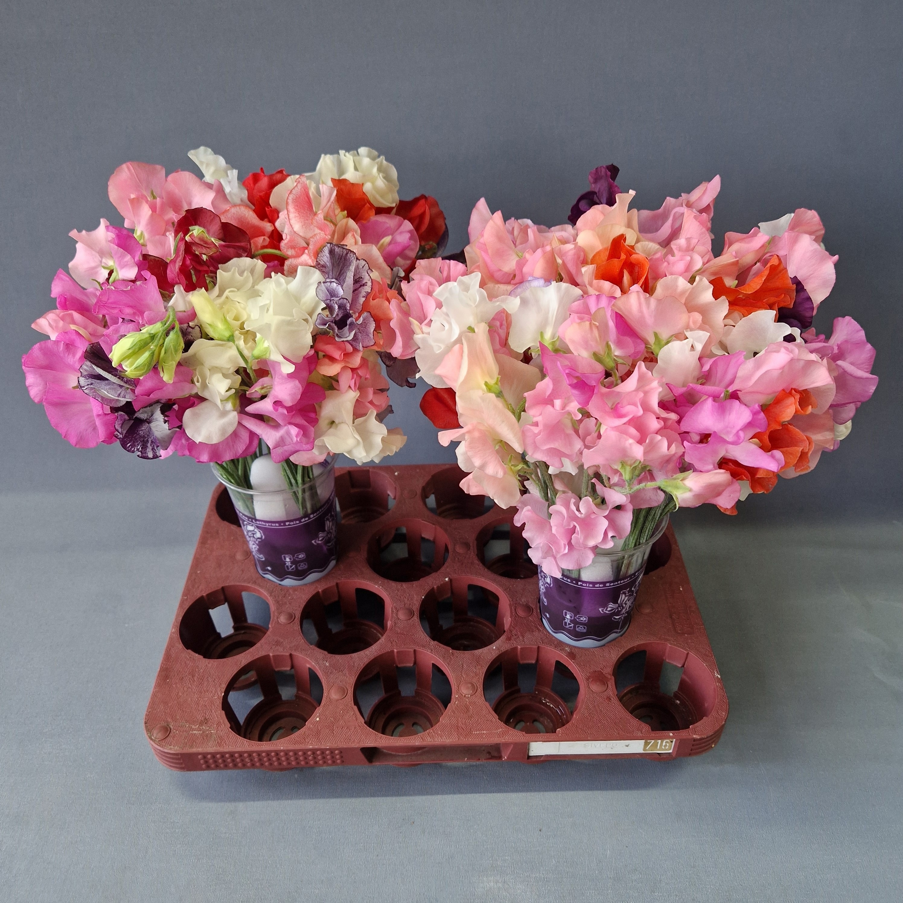 Lathyr Parfum Gem Bs