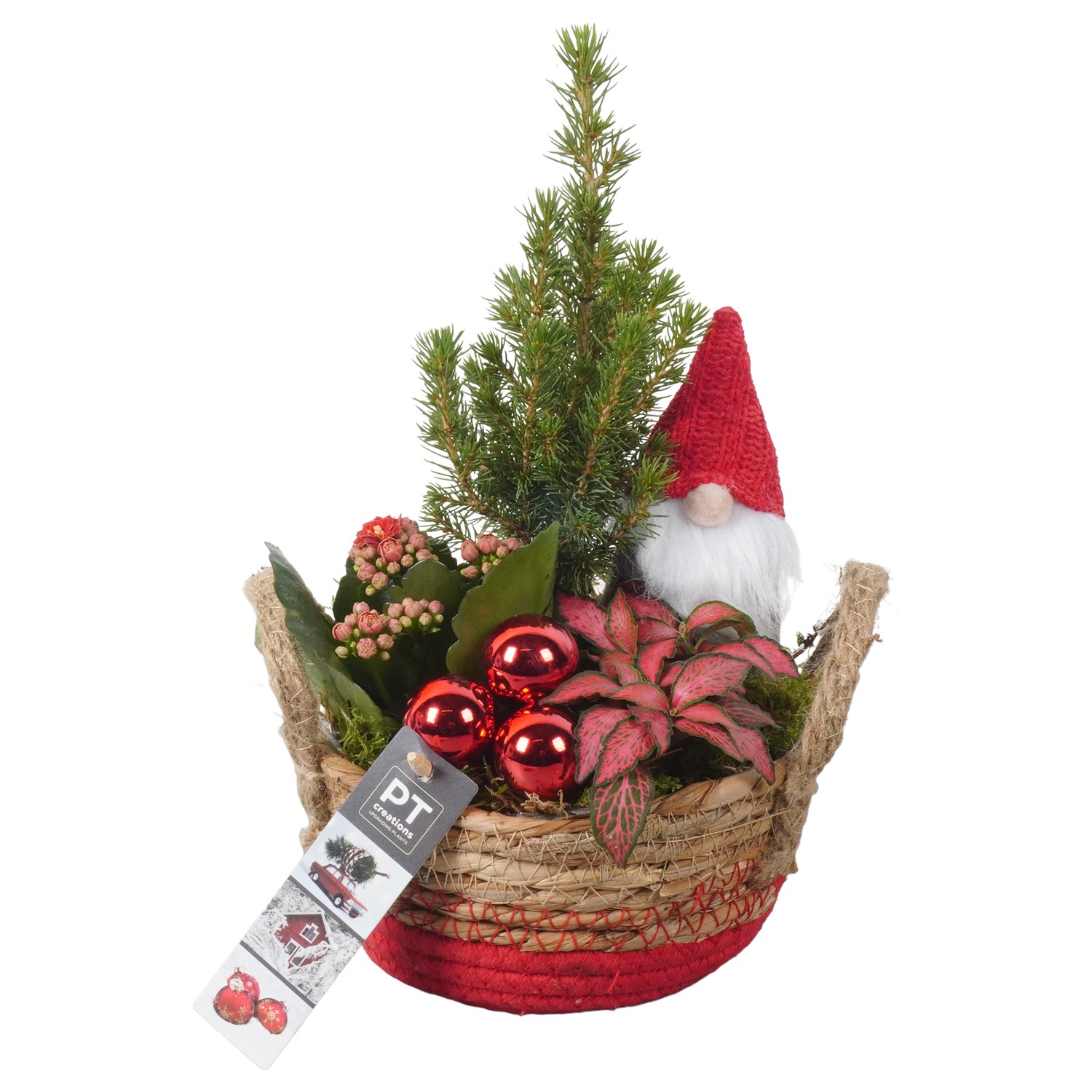 Picture of PTKB9332 Arrangement X-Mas in grass basket P22 29CM