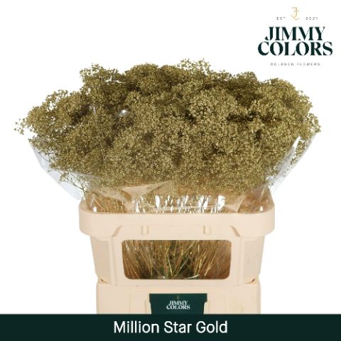 Gyps Million Star L80 Metallic Gold