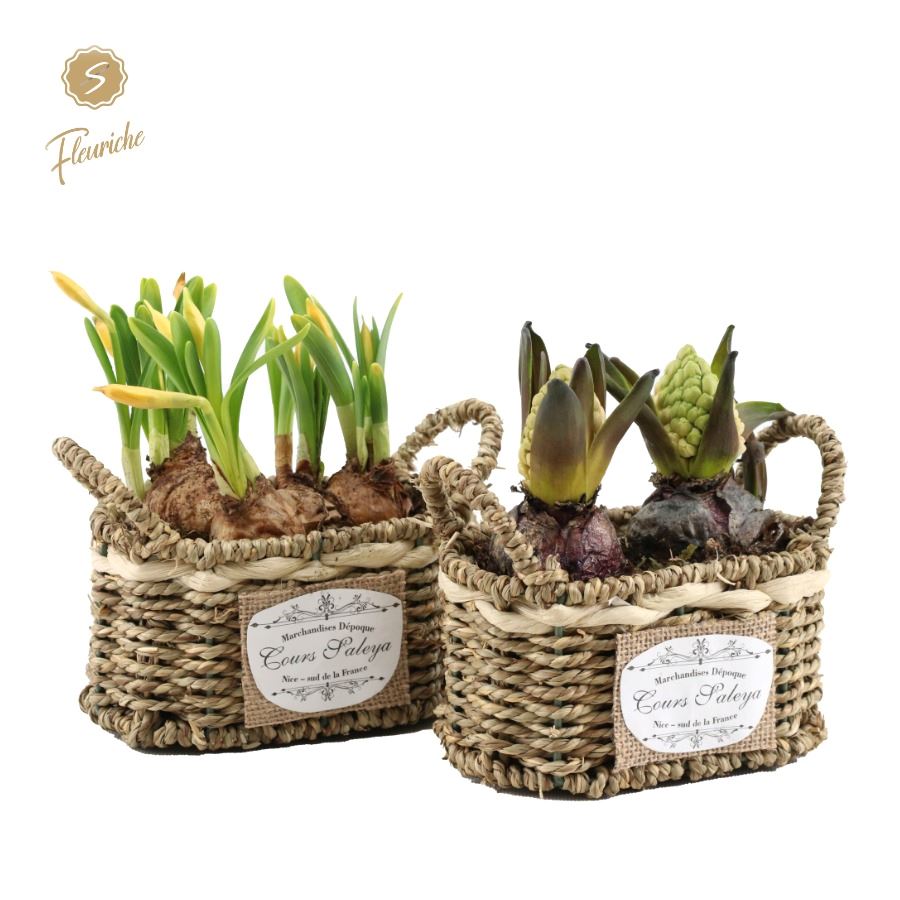 Picture of (2400) Hyacint Seagrass basket 2PP P16